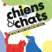 Chiens et chats