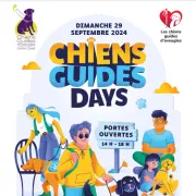 Chiens Guides Days (Fête des Chiens Guides) - Landouge