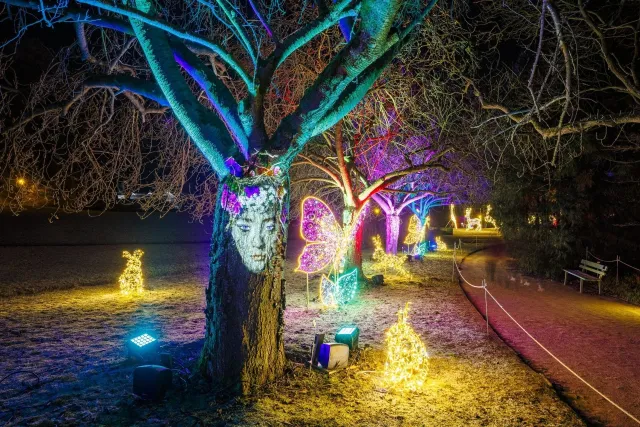 La magie du Christmas Garden s'installe à Karlsruhe en 2024