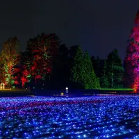 La mer de lumière 🌟 &copy; Christmas Garden / Michael Clemens