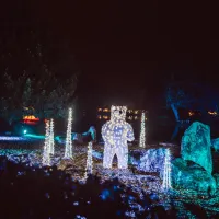 Faites un coucou à l'ours polaire &copy; Christmas Garden / Stefan Hegenberg