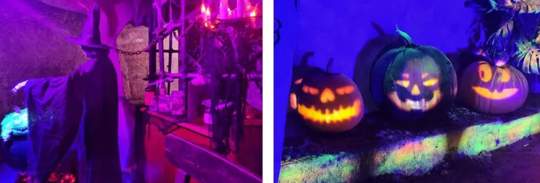 Les décorations d'Halloween s'invitent dans tout le parc Cigoland