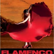 Ciné-club : «Flamenco Flamenco »