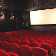 Ciné-débat