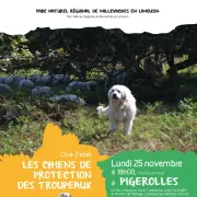 Ciné-débat : Les chiens de protection des troupeaux