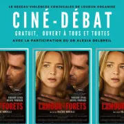 Ciné-débat (réseau violences conjugales Loudun)