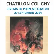 Ciné plein air \