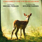 Cinéma Arudy : Bambi, l'histoire d'une vie dans les bois