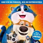 Cinéma : Croquette, le chat merveilleux