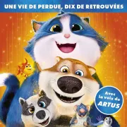 Cinéma Croquette Le Chat Merveilleux