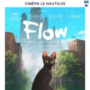 Cinéma Flow