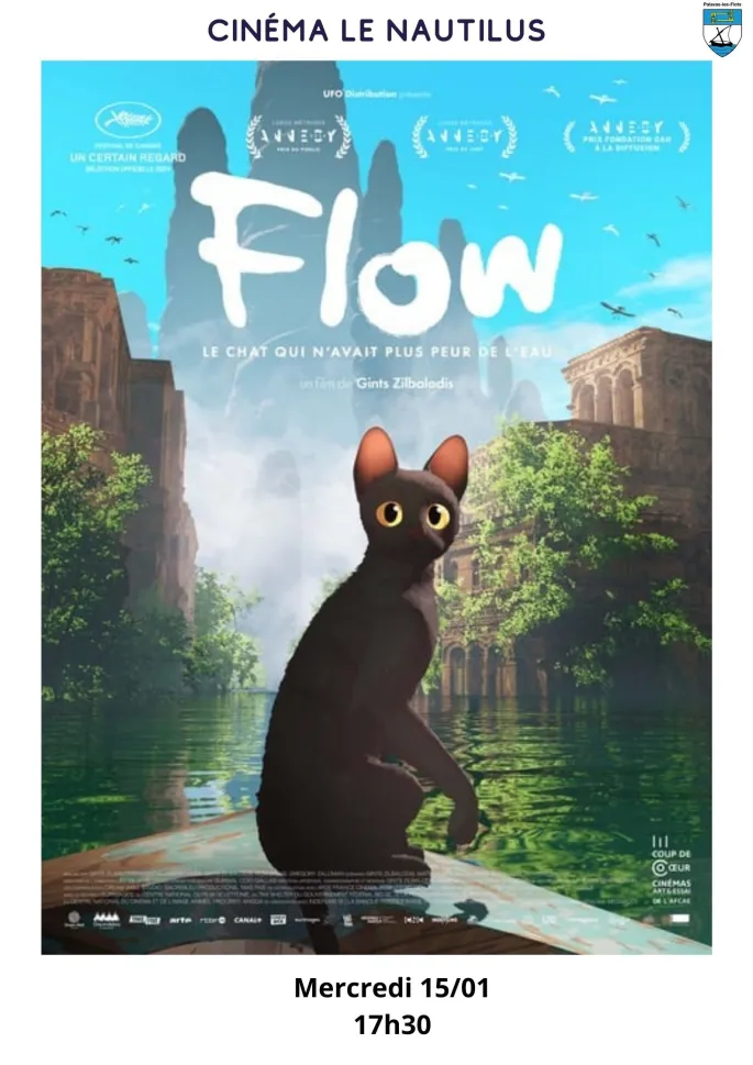 Cinéma Flow