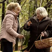 Cinéma - Quand vient l’automne