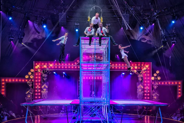 Des acrobates incroyables sur la scène du cirque : les Catwall Acrobats