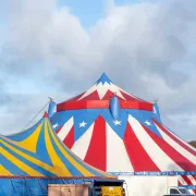 Cirque Zavatta