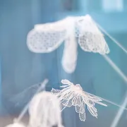 Cité de l'Accordéon et des Patrimoine - Atelier en famille : Un noël dentelle