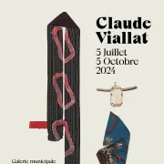 Claude Viallat A L\'Espace Des Arts