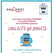 Collecte De Jouets Au Profit Des Enfants Malades