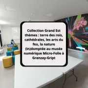 Collection Grand Est thèmes : terre des rois, cathédrales, les arts du feu, la nature (in)domptée au musée numérique Micro-Folie à Granzay-Gript