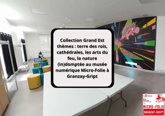 Collection Grand Est thèmes : terre des rois, cathédrales, les arts du feu, la nature (in)domptée au musée numérique Micro-Folie à Granzay-Gript