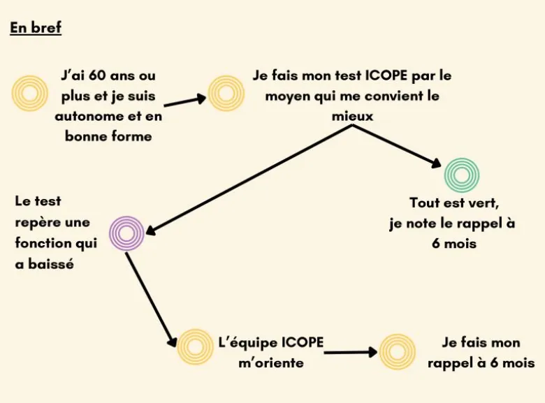 Comment fonctionne ICOPE ?