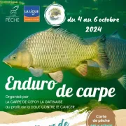 Compétition de pêche par équipe : Enduro de carpe