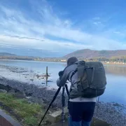 Comptage international des oiseaux d'eau