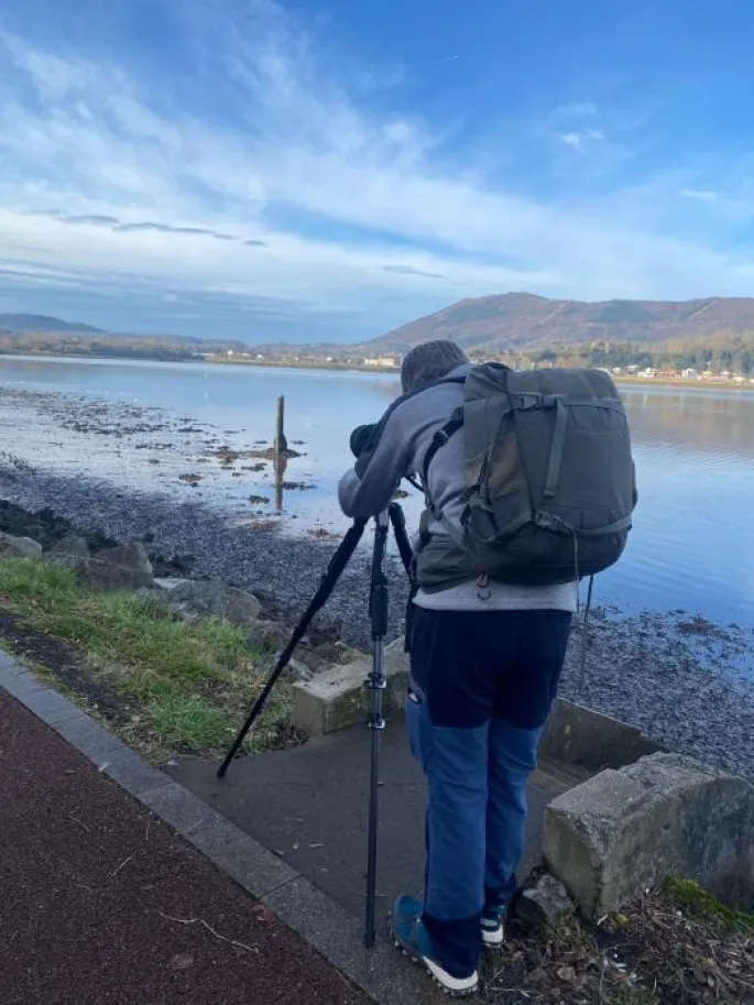 Comptage international des oiseaux d'eau