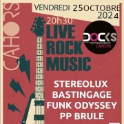 Concert aux Docks : Grand concert au profit de l’UNICEF