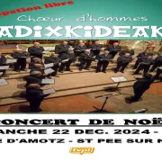 Concert de Noël avec Adixkideak