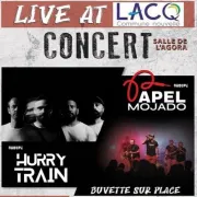 Concert de rock : Papel Mojado et Hurry Train