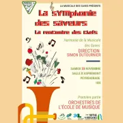 Concert de Sainte Cécile