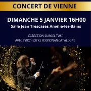 Concert De Vienne Par L’orchestre Perpignan Catalogne