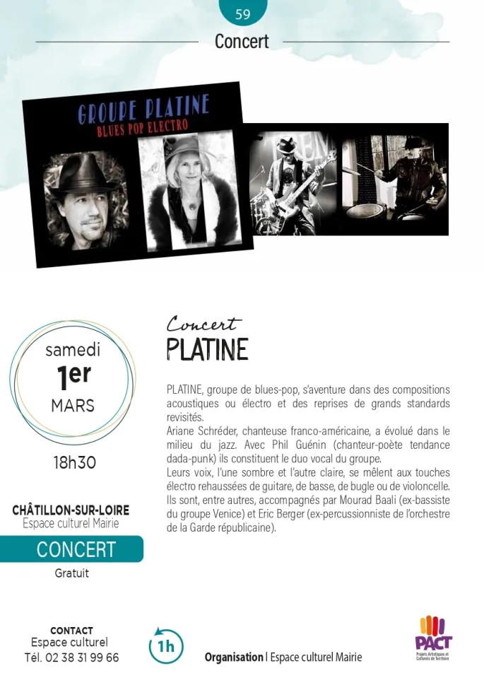 Concert du groupe Platine (blues-pop)