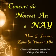 Concert du Nouvel An