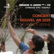 Concert Du Nouvel An : De Paris A Vienne