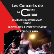 Concert Jazz/Blues Black Out Trio