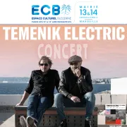 Concert Temenik Electric