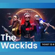 Concert The Wackids