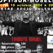 Concert Tribute Patrick Bruel