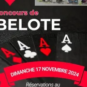 Concours De Belote De L'Aael