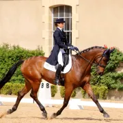 Concours de dressage