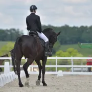 Concours de Dressage à Moncontour à Saint-Hilaire-Bonneval