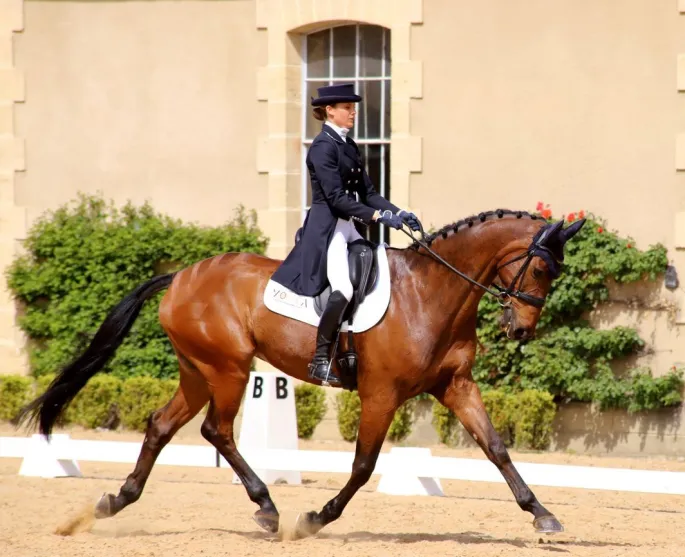 Concours de dressage Pro Elite