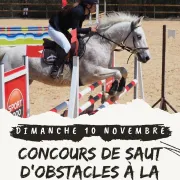 Concours De Saut D'Obstacles