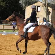 Concours de sauts d\'obstacles (CSO) et de
maniabilité