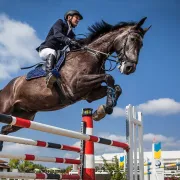 Concours hippique saut d\'obstacles