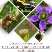 Concours Photos de l\'Atlas de la Biodiversité du Beauvaisis