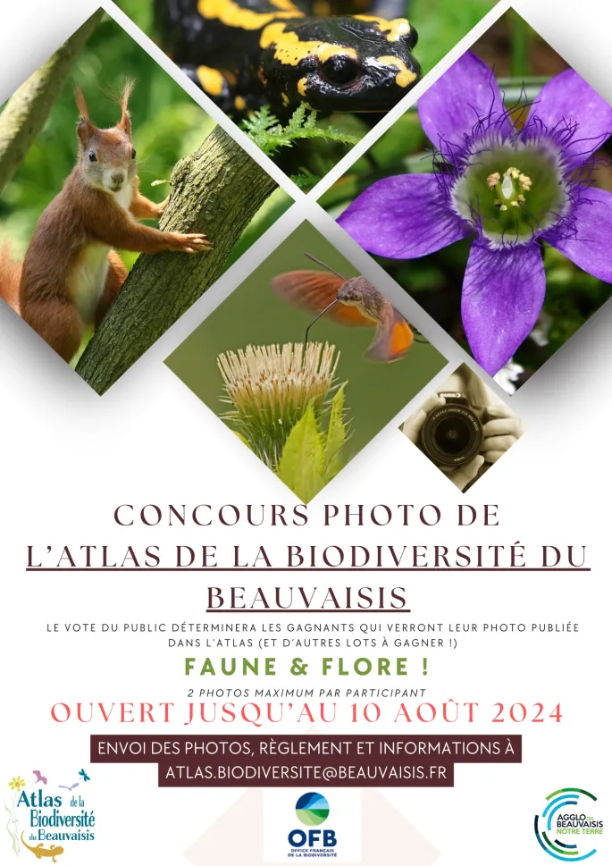 Concours Photos De L'Atlas De La Biodiversité Du Beauvaisis 2024 : Date ...