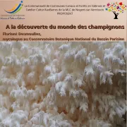 Conférence “A la découverte du monde des champignons”